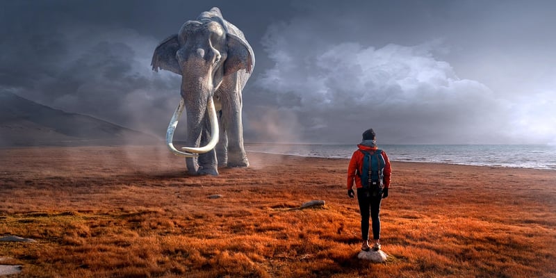 Mythical Creatures Encounters